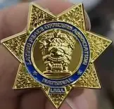 NLPOA Bronx Chapter Lapel Pin